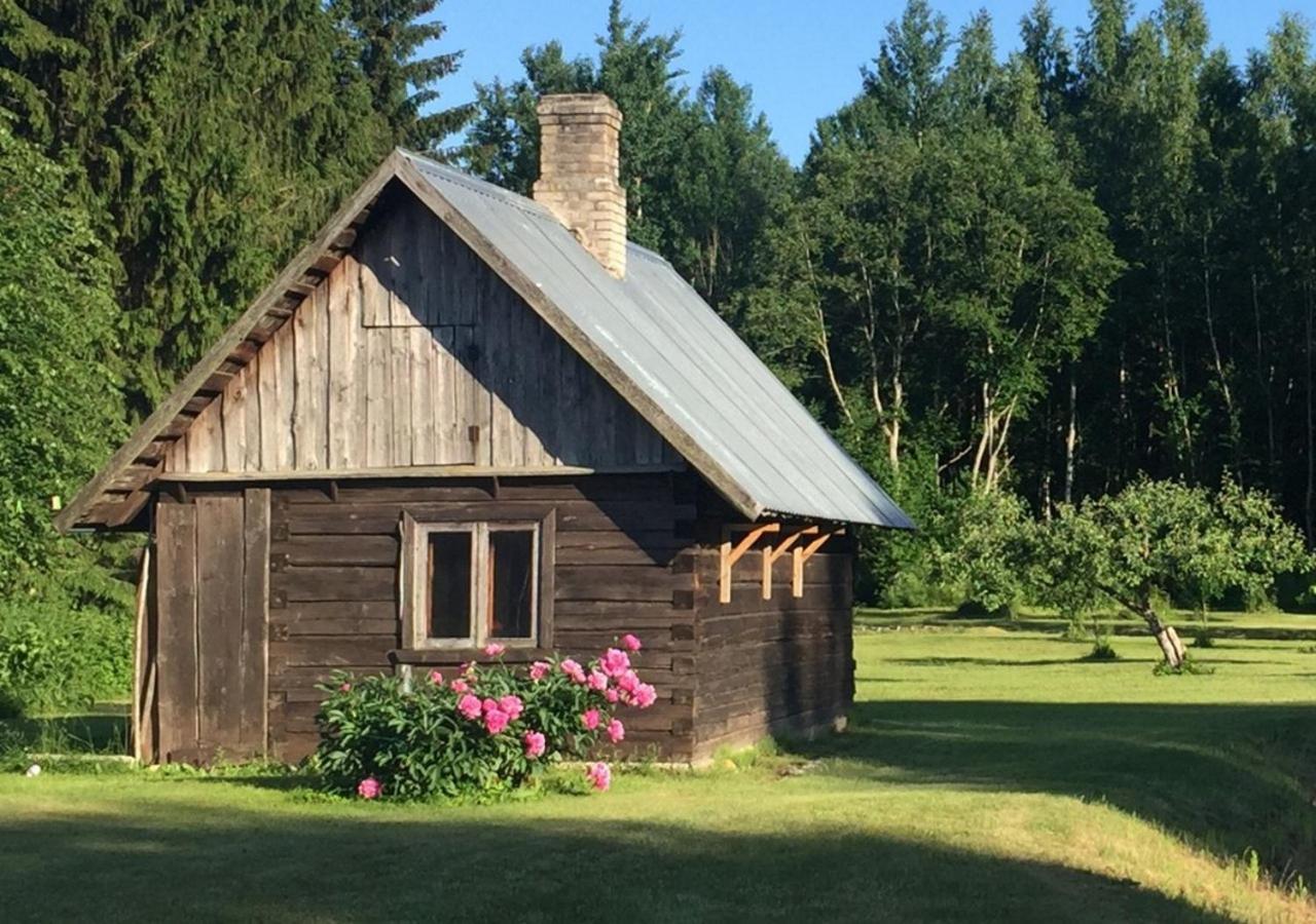 Peipsi Caravani Puhkemaja Hotel Nina Exterior foto