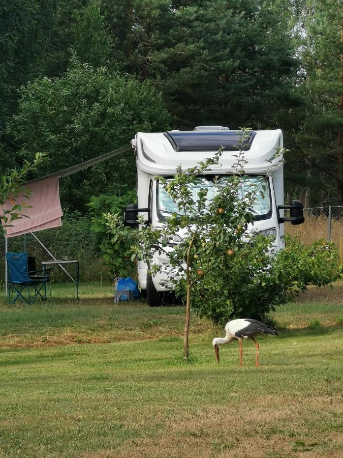 Peipsi Caravani Puhkemaja Hotel Nina Exterior foto